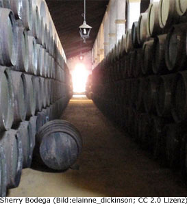 Jerez Bodega Sherry Sightseeing Sehenswürdigkeit