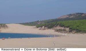 Bolonia Andalusien Strand Düne