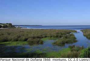 Nationalpark Andalusien Coto de Donana