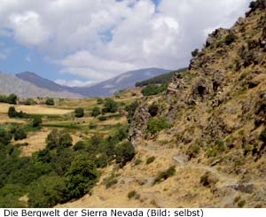 Nationalpark Andalusien Sierra Nevada Berge